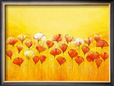 Wild Red Poppies Prints by Emily Light
