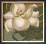 Spring Magnolia I Prints by Cooper 