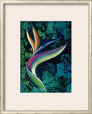 Bird of Paradise Framed Giclee Print by Marcella Rose