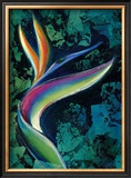 Bird of Paradise Framed Giclee Print by Marcella Rose