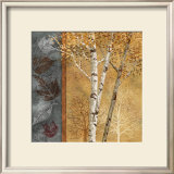 Birch Tree in Autumn I Posters by Conrad Knutsen