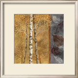 Birch Tree in Autumn II Prints by Conrad Knutsen