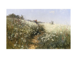 A Lady with a Parasol in a Meadow with Cow Parsley, 1881 reproduction procédé giclée par Ivan Ivanovich Shishkin