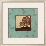 Birch Posters