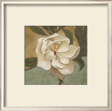 Spring Magnolia II Prints by Cooper 