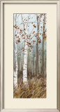White Birches II Prints by Roxi Gray