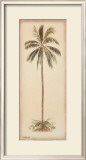 Palm Tree I Print by Debra Lake