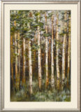 Aspen Beauty III Prints by Scott Lee