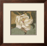Spring Magnolia II Posters by Cooper 