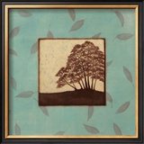 Birch Prints