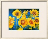 We Kings of Summer Print by Alexandra Terramorsi