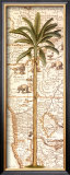 Palmera africana I Póster por Debra Lake