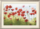 Mountain Poppies III Print by Shirley Novak