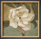 Spring Magnolia II Posters by Cooper 