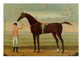 A Bay Racehorse with his Jockey on a Racecourse Reproduction procédé giclée par Daniel Quigley