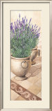 Lavanda Provenzale Prints by Franz Heigl
