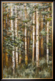Aspen Beauty II Poster by Scott Lee
