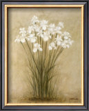 Floral Sprays Prints by Debra Lake