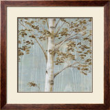 Birch Study II Print by Daphne Brissonnet Birch Study II Print by Daphne Brissonnet