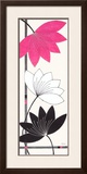 Fuchsia Lotus Blooms Prints by Alan Buckle