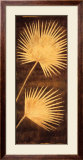 Fan Palm Triptych III Print by David Parks