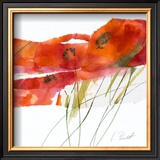 Modern Poppy V Prints by Marta Peuckert