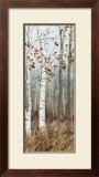 White Birches II Posters by Roxi Gray