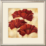 Three Poppies II Prints by Nicola Rabbett