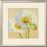 White Poppies III Posters por Shirley Novak White Poppies III Posters por Shirley Novak