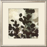Autumn Silhouette II Poster by Franz Heigl Autumn Silhouette II Poster by Franz Heigl