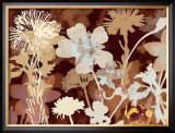 Translucent Shadows I Prints by Lois Bender