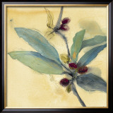 Olivier I Prints by Marthe 