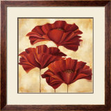 Three Poppies II Prints by Nicola Rabbett