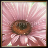 Rays of Rose Print by Arkadiusz Warminski