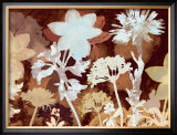 Translucent Shadows I Print by Lois Bender