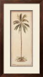 Palm Tree I Art by Debra Lake