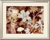 Translucent Shadows I Prints by Lois Bender