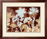 Translucent Shadows I Posters by Lois Bender