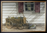 Pansies for Sale Prints by Dan Campanelli