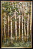 Aspen Beauty III Prints by Scott Lee