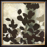 Autumn Silhouette II Poster by Franz Heigl Autumn Silhouette II Poster by Franz Heigl