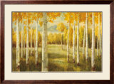 Aspens Poster by Danhui Nai