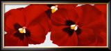 Red I Poster by Yvonne Poelstra Holzhaus