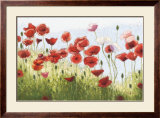 Mountain Poppies III Posters by Shirley Novak