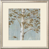 Birch Study II Posters by Daphne Brissonnet Birch Study II Posters by Daphne Brissonnet