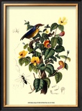 Bird in Nature II Prints by E. Guerin