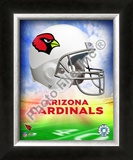 2009 Arizona Cardinals Team Logo Framed Photographic Print