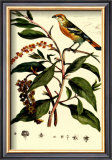 Bird in Nature I Prints by E. Guerin