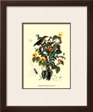 Bird in Nature II Prints by E. Guerin