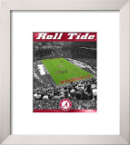 University of Alabama- Stadium Shot Framed Photographic Print